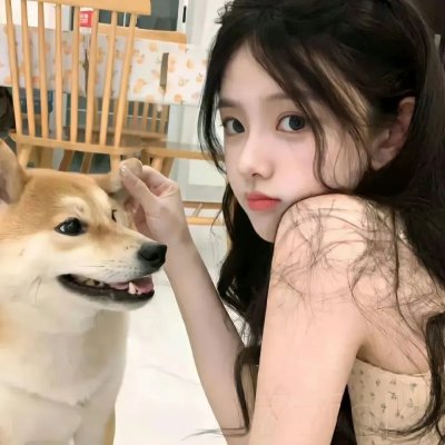 美国派：索爱天书